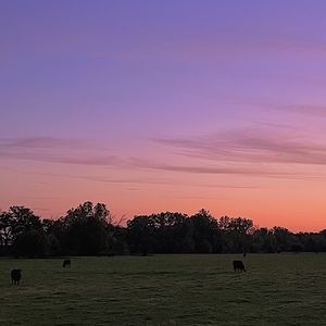 Meet your Posher, Bella